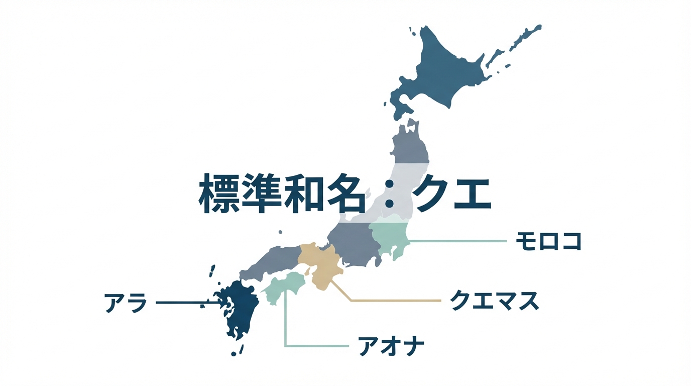 日本地図上にクエの主な地方名をマッピングした図解。関東の「モロコ」、九州の「アラ」など地域ごとの呼び名が示されている。